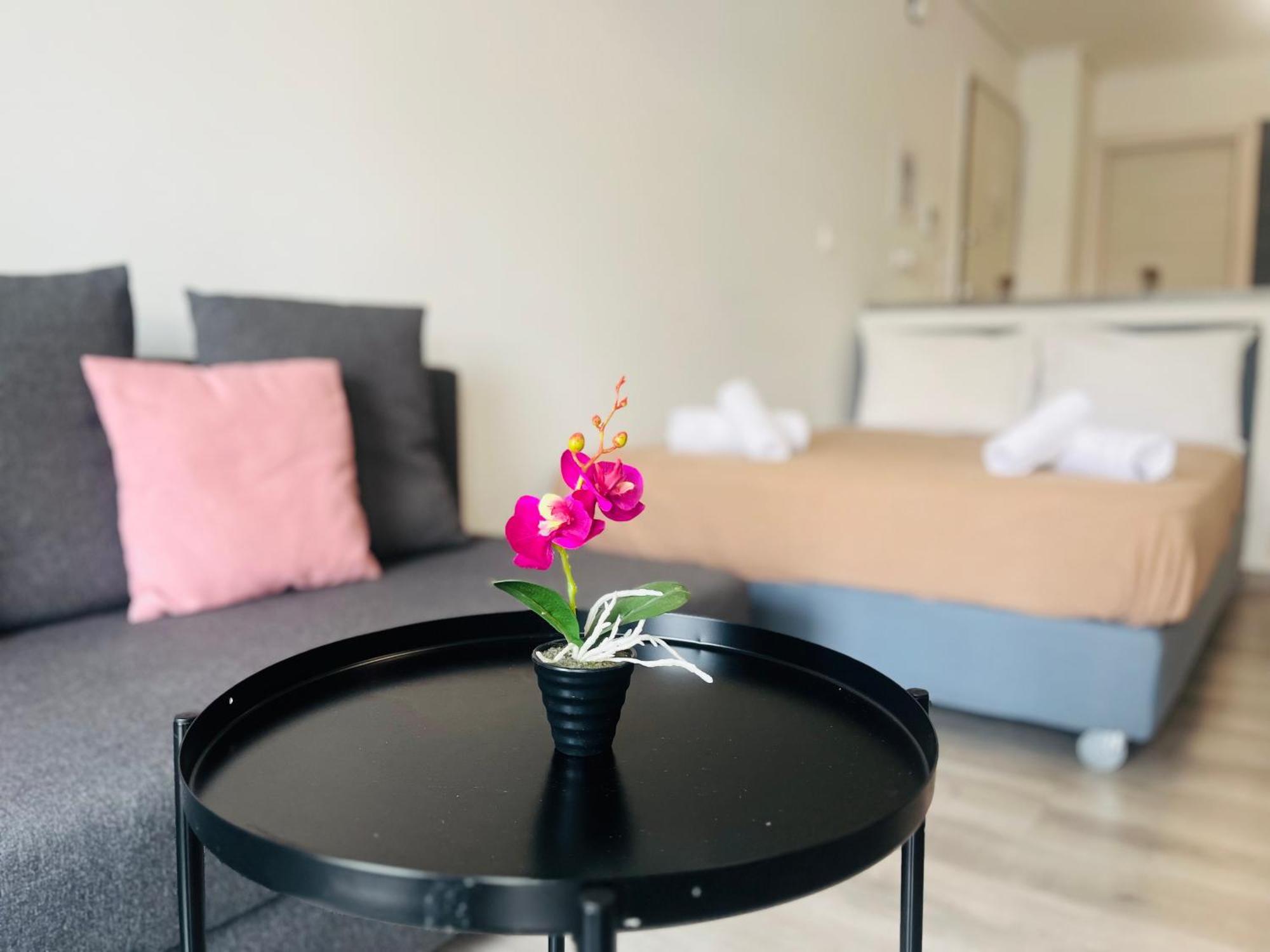 Elvita Apartments 4 เอเธนส์ ภายนอก รูปภาพ